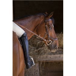 Mini-chaps EQUITH?ME "Premium" 2