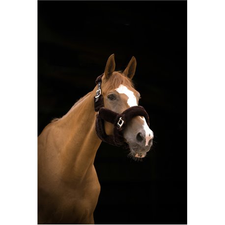 Licol EQUITH?ME "Teddy"