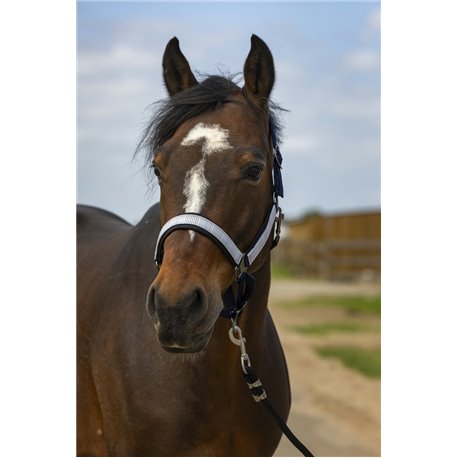 EQUITH?ME ?Nylon Check" Halfter