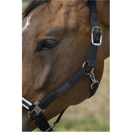 EQUITH?ME ?Nylon Chevron" Halfter
