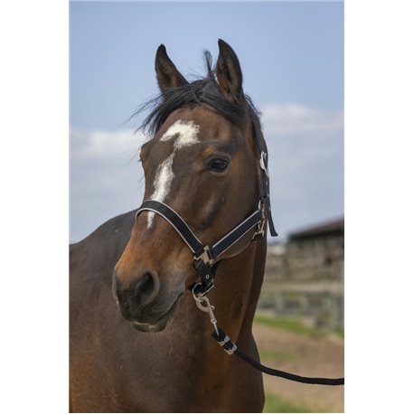 EQUITH?ME ?Nylon light" Halfter