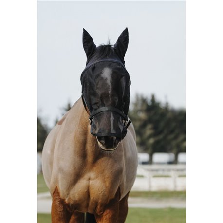 EQUITH?ME Halfter + Antifliegenmaske
