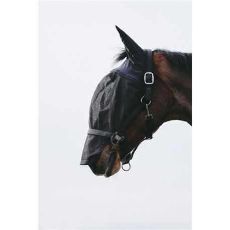 EQUITH?ME Halfter + Antifliegenmaske