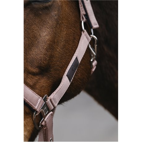 EQUITHEME "Spring" Nylonhalfter