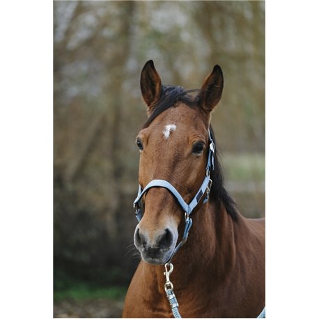 EQUITHEME "Spring" Nylonhalfter