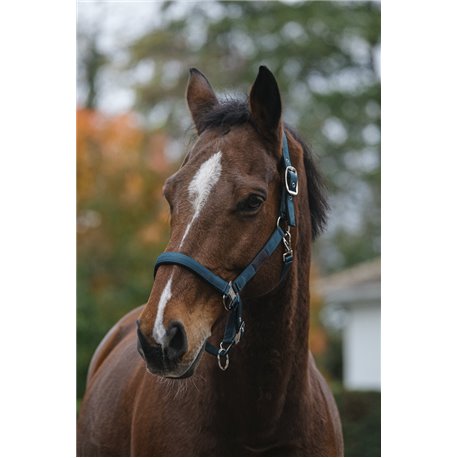 EQUITHEME "Spring" Nylonhalfter