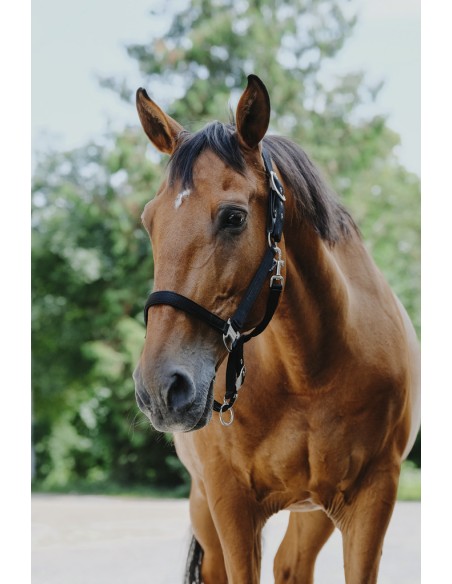 EQUITH?ME - Protector - Nylonhalfter