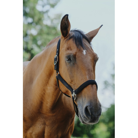 EQUITH?ME - Protector - Nylonhalfter