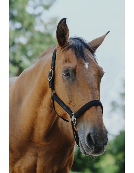 EQUITH?ME - Protector - Nylonhalfter