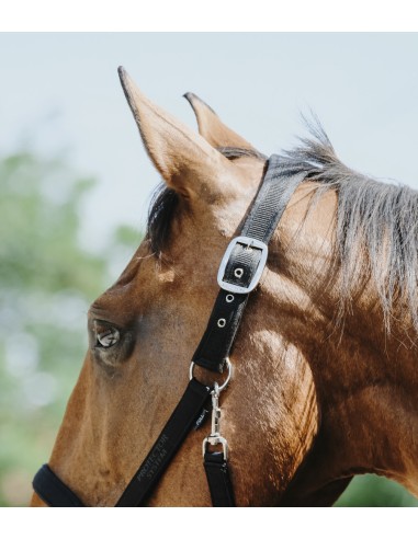 EQUITH?ME - Protector - Nylonhalfter