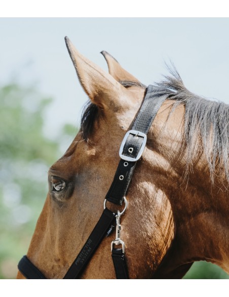 EQUITH?ME - Protector - Nylonhalfter