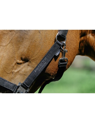 EQUITH?ME - Protector - Nylonhalfter