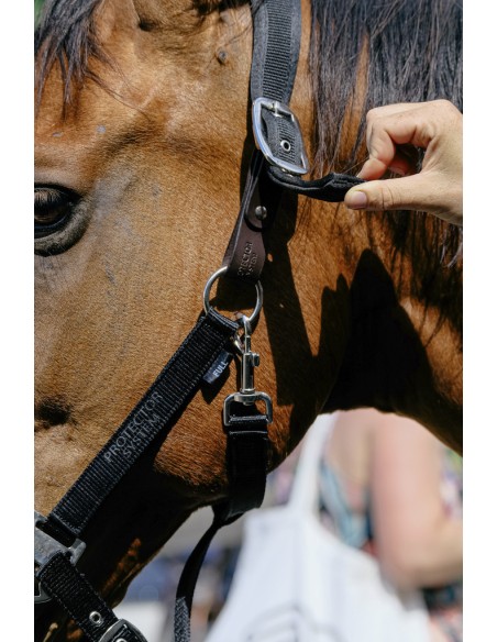 EQUITH?ME - Protector - Nylonhalfter