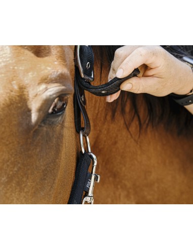 EQUITH?ME - Protector - Nylonhalfter