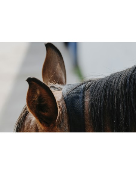 EQUITH?ME - Protector - Nylonhalfter